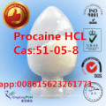 99% Procaine Hydrochloride, Procaine Hci, 51-05-8